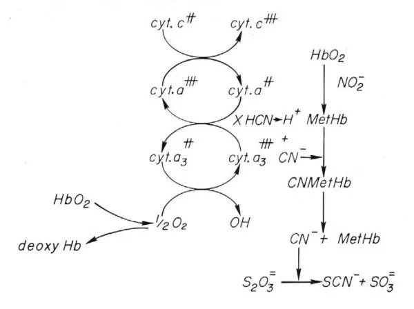 阳谷华泰获得发明专利授权:“一种有机浓缩废液的干燥装置及处理方法”