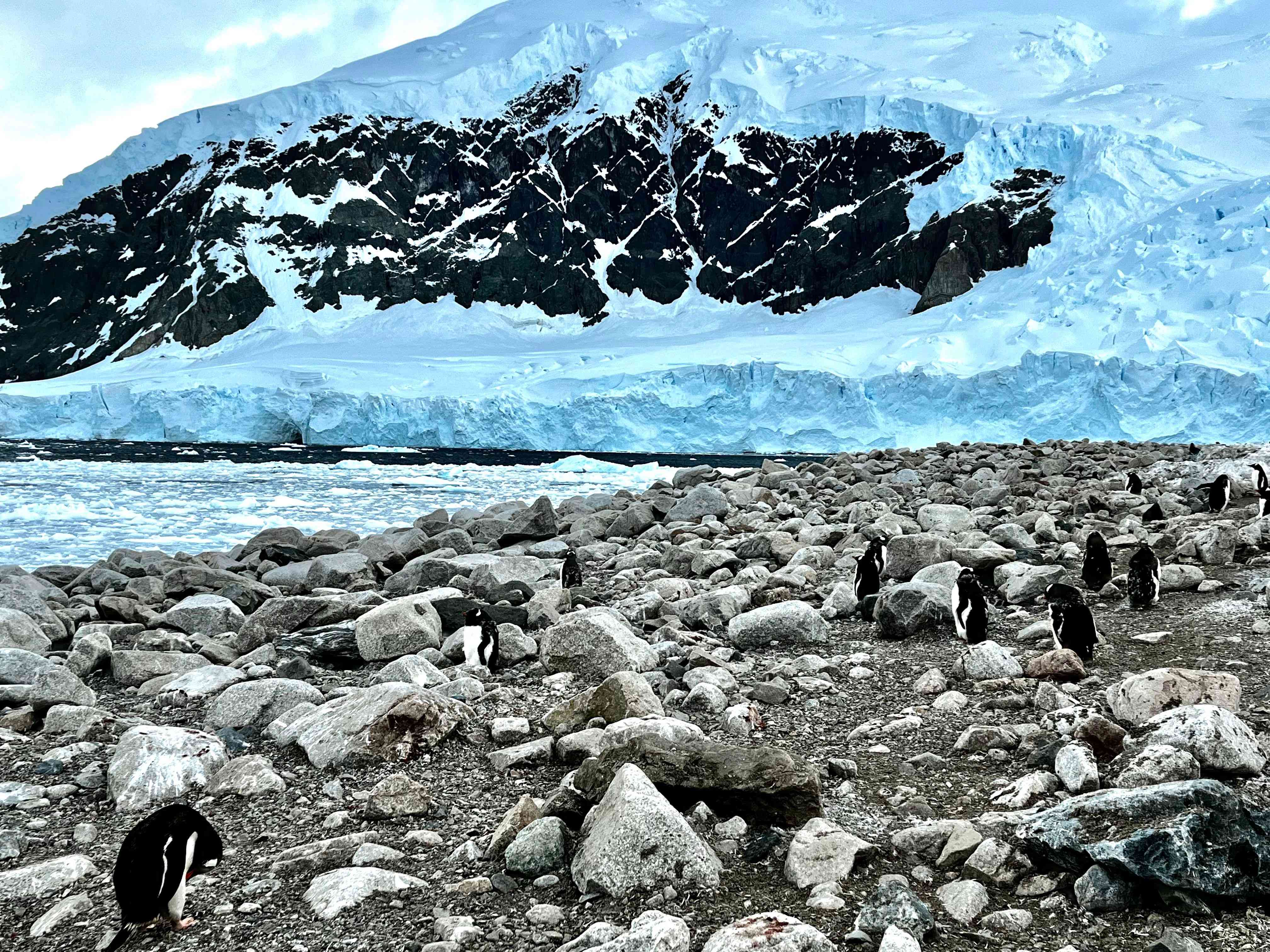 研究说南极冰盖下平坦地貌减缓冰川移动