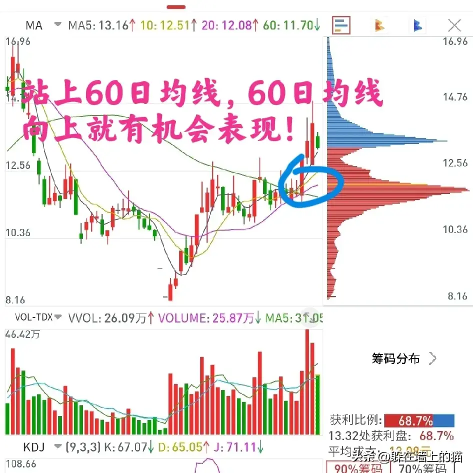 638只股短线走稳 站上五日均线