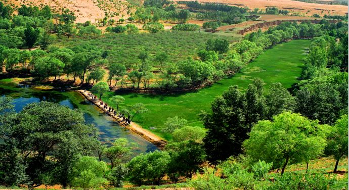 左右沙发十年公益治沙行动：以绿色理念筑牢生态屏障