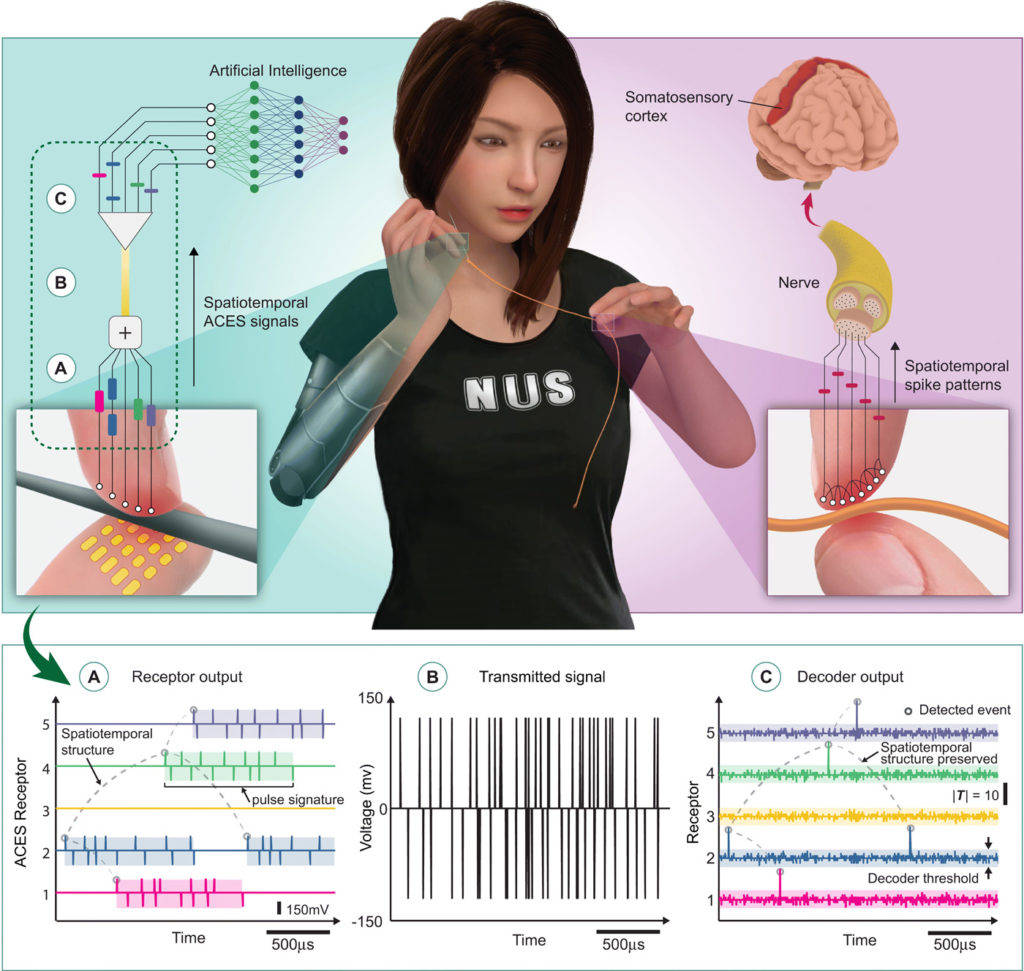 岱勒新材：子公司UV固化型导电材料可用于机器人电子皮肤