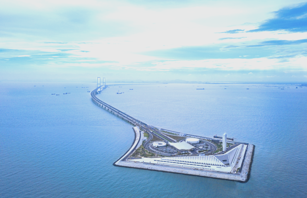 （粤港澳大湾区）7年超4万匹次马匹往返粤港两地
