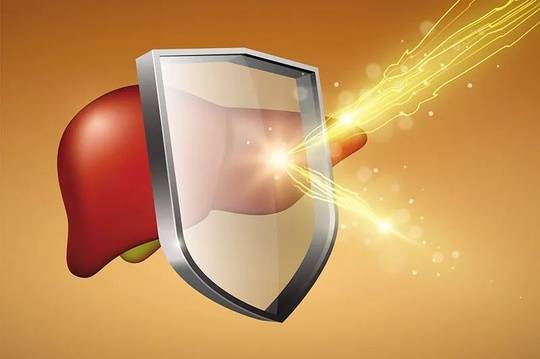 人保服务 ,人保财险政银保 _2025年熊胆粉行业市场分析：供需动态与竞争格局