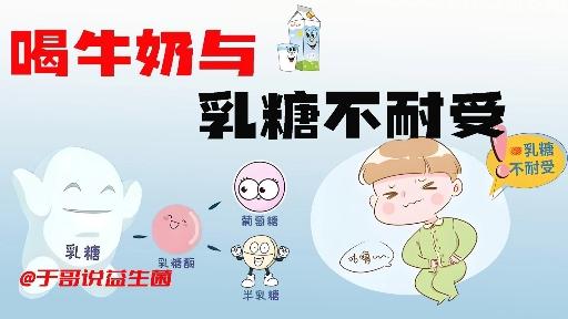 中国乳糖行业市场深度调研及发展现状、未来趋势分析2025_人保伴您前行,拥有“如意行”驾乘险，出行更顺畅！