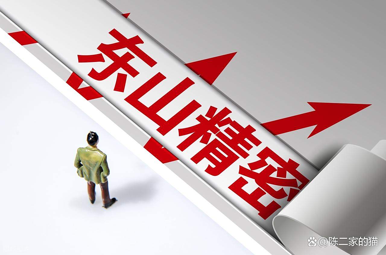 东山精密中报营收增速不足2%，核心产品后劲乏力，豪赌AI赛道资金受考