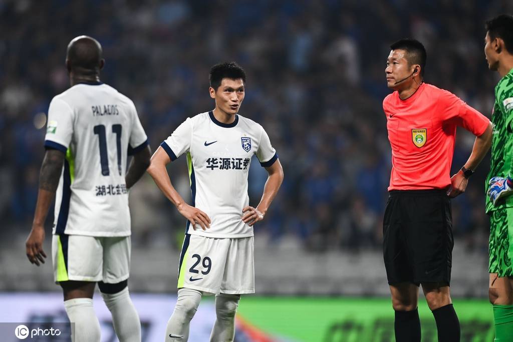 华源证券给予中宠股份买入评级:顶尖制造品质的“能力土壤”上,正长出“品牌之树”