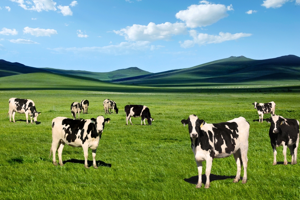 天润乳业半年报藏隐忧：销量增长营收承压，疆外市场拖后腿