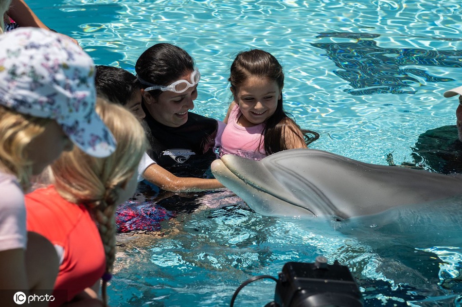 追踪设备记录到赫氏海豚在水下一系列“杂技”动作