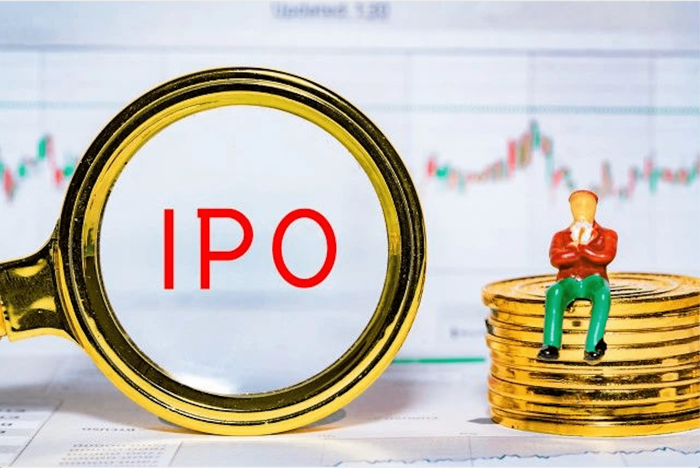 “风王”逼近！各方协力筑牢“经济防护网”，上市公司在行动→