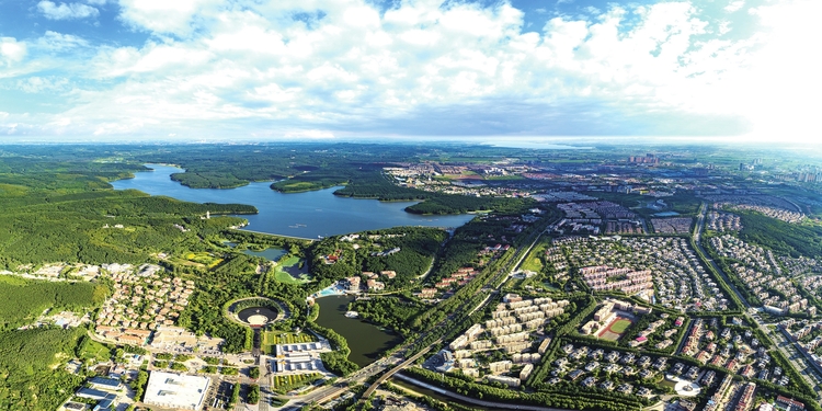 长春高新押注脱敏市场求解背后：集采压价与竞争加剧成掣肘，核心子公司金赛药业靠生长激素难支业绩