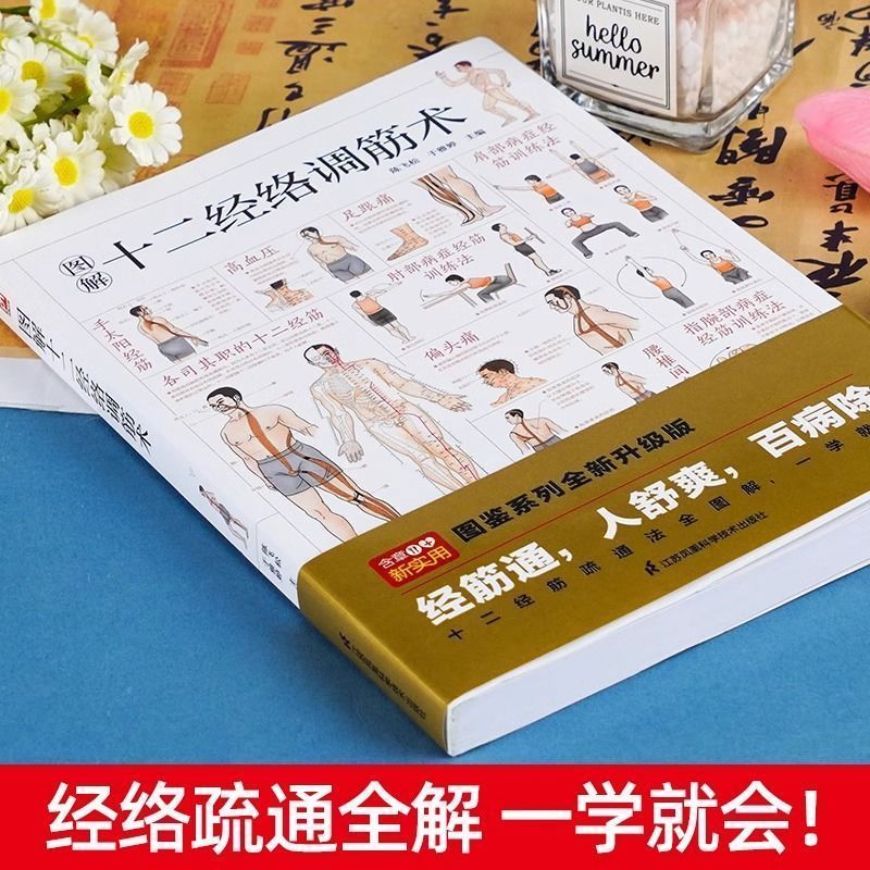 2025年经络调理养生行业市场深度调研及发展趋势预测_保险有温度,人保有温度
