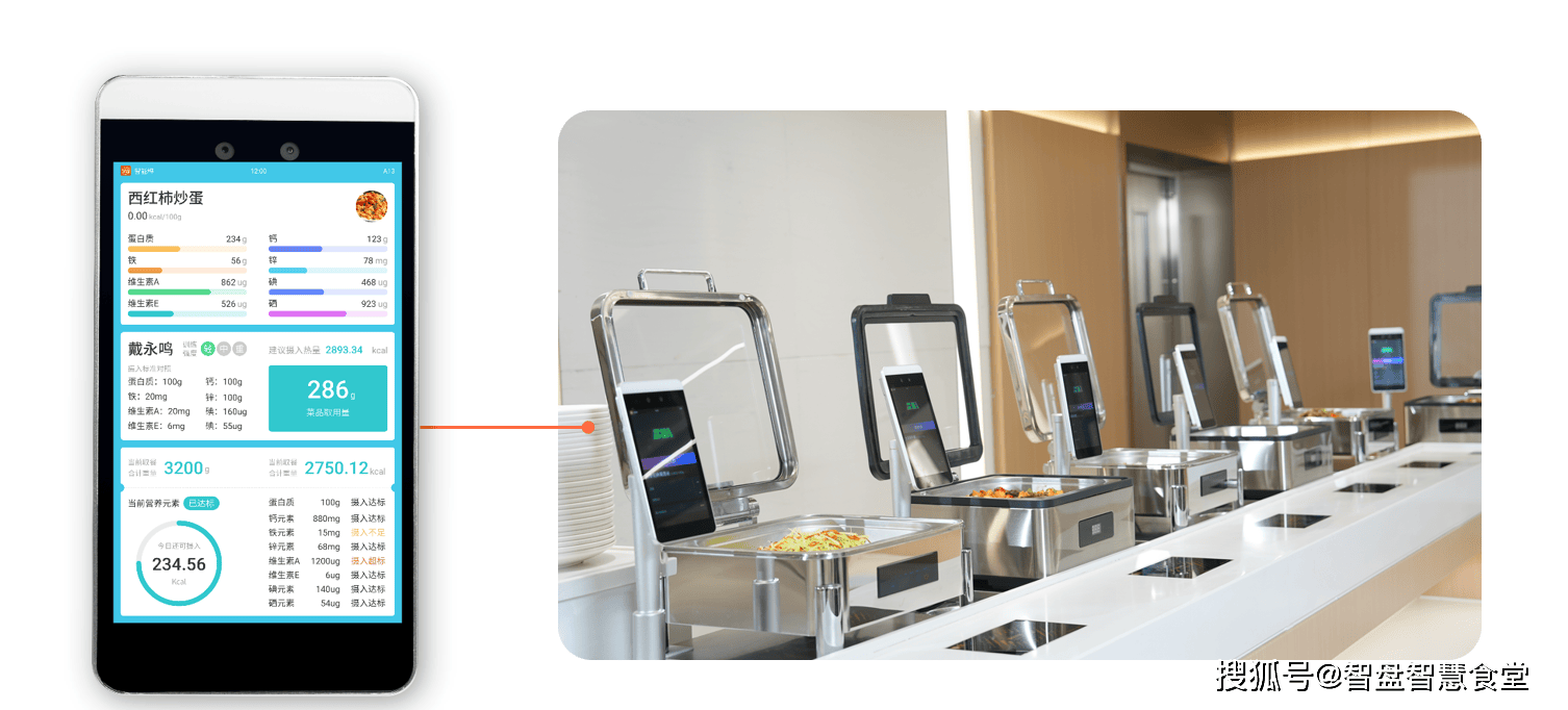 iGarden与德国赛艇协会达成战略合作，共筑智慧体育新篇章