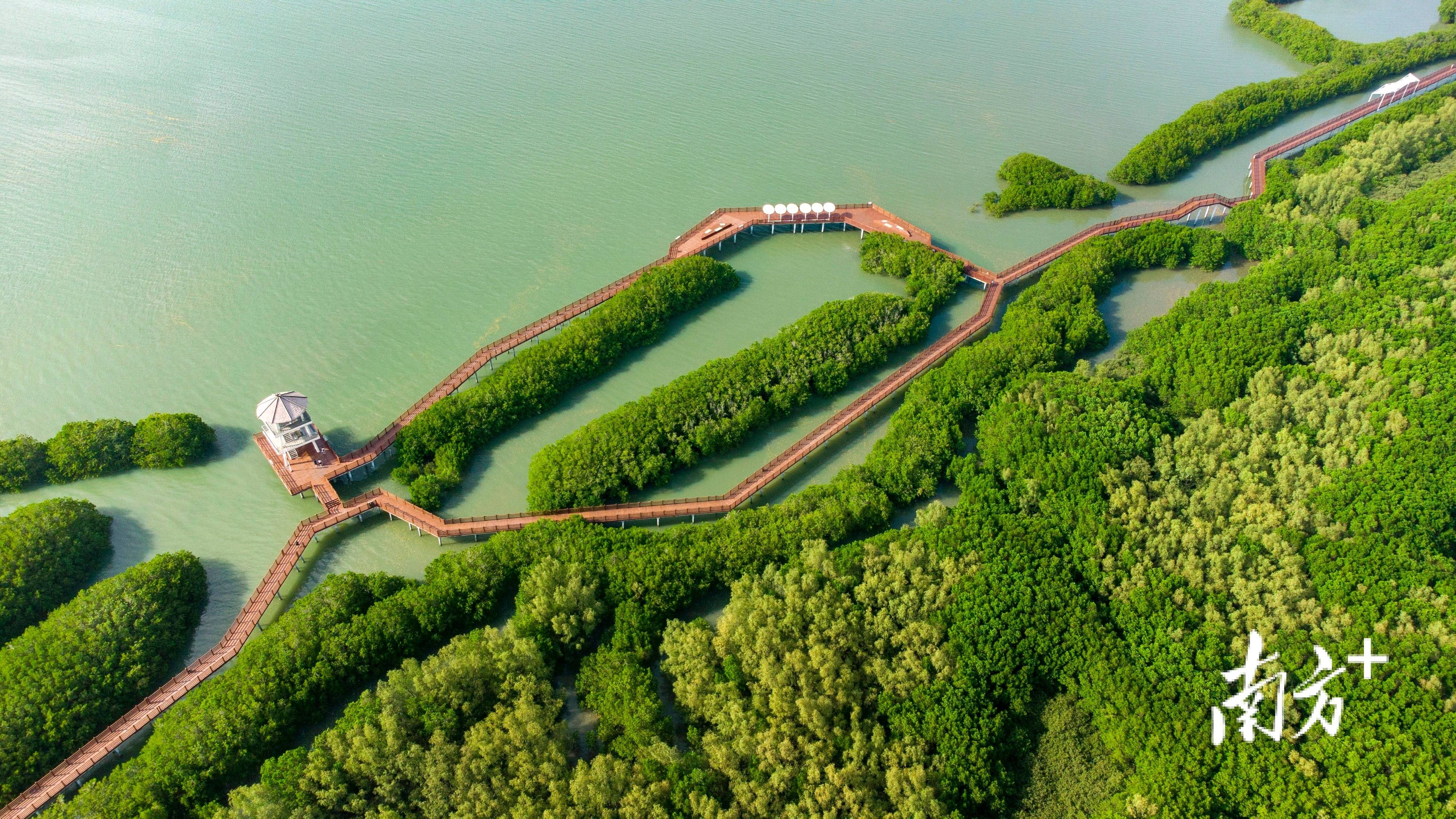 修复生态发展文旅 浙江千年矿洞生财有道