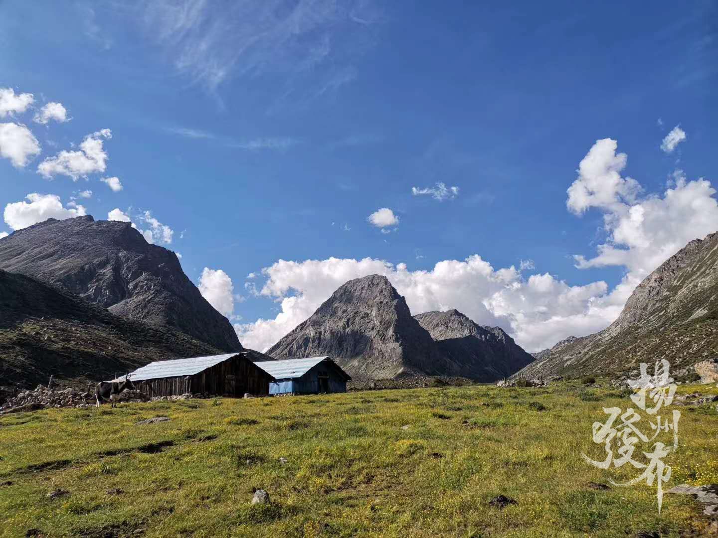 诺奖宣布后，获奖人竟“失联”：一位正徒步旅行至今联系不上，一位看到外地号码以为是“垃圾信息”！秘书长：我请求他们，有空给我回电话