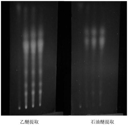 中国石油获得发明专利授权：“一种解吸附剂及其制备方法和应用及压裂液”