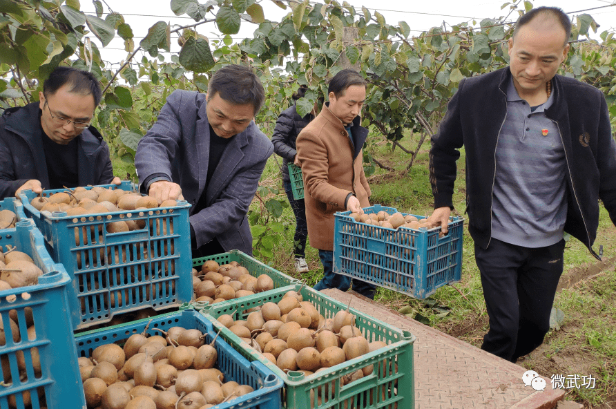 农业农村部:全力做好秋粮抢收抢烘服务保障 分类制定完善秋播方案