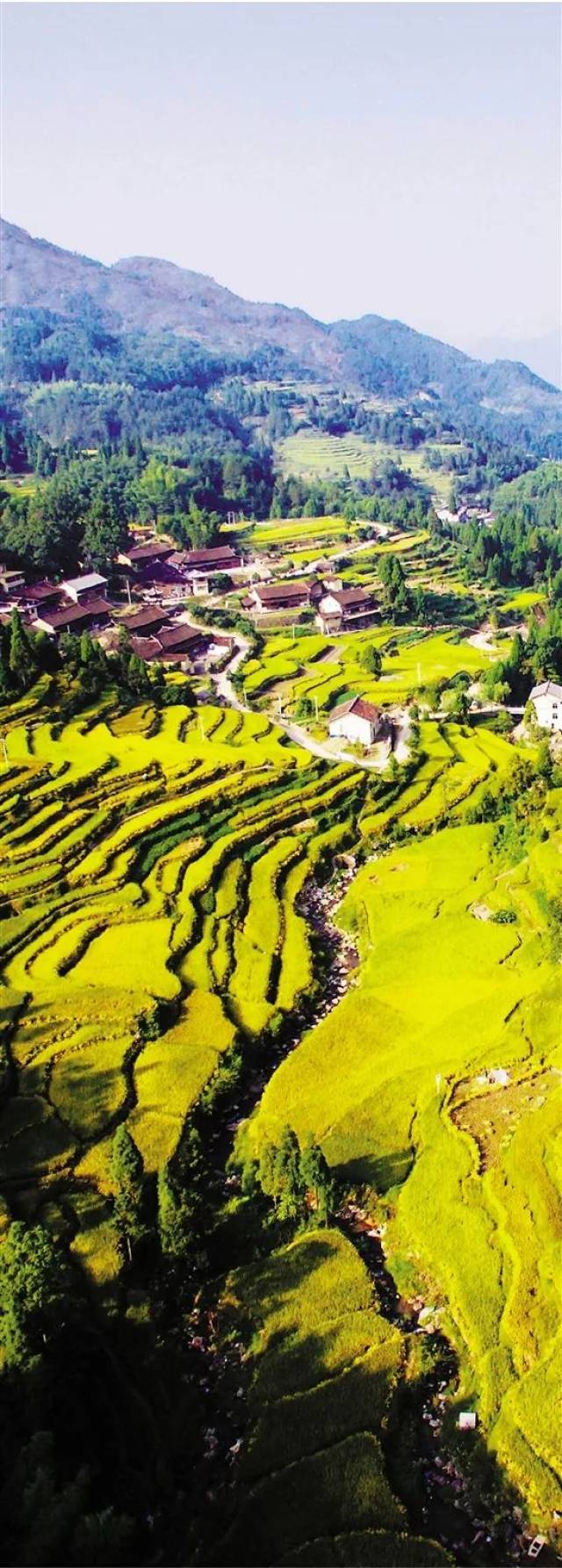 （乡村行・看振兴）“鱼虾共舞” 江西彭泽绘出乡村振兴好“丰”景