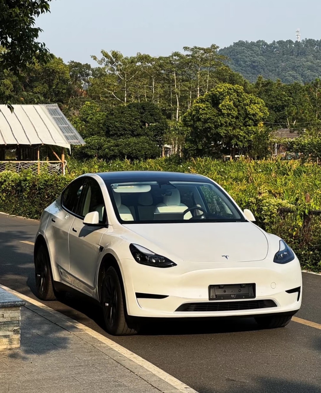 2025机顶盒行业市场现状及未来发展趋势预测分析_人保服务 ,保险有温度