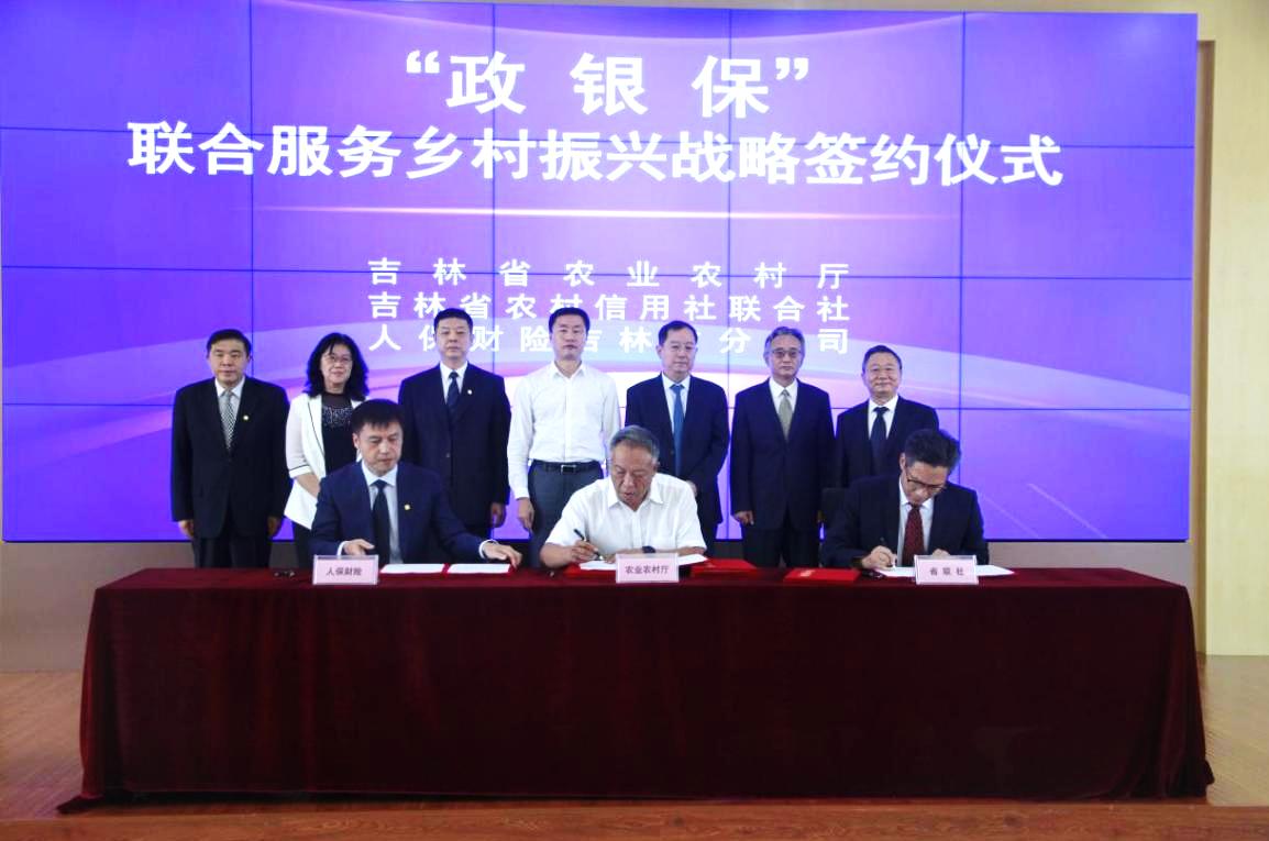 保险有温度,人保财险政银保 _水果行业现状与发展趋势分析