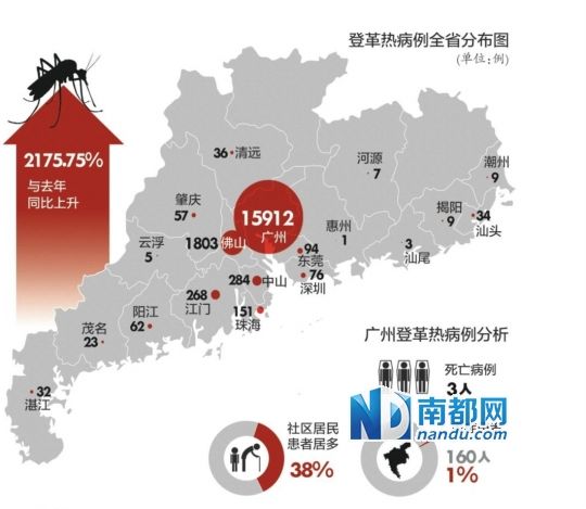 尼泊尔登革热感染病例超6000例