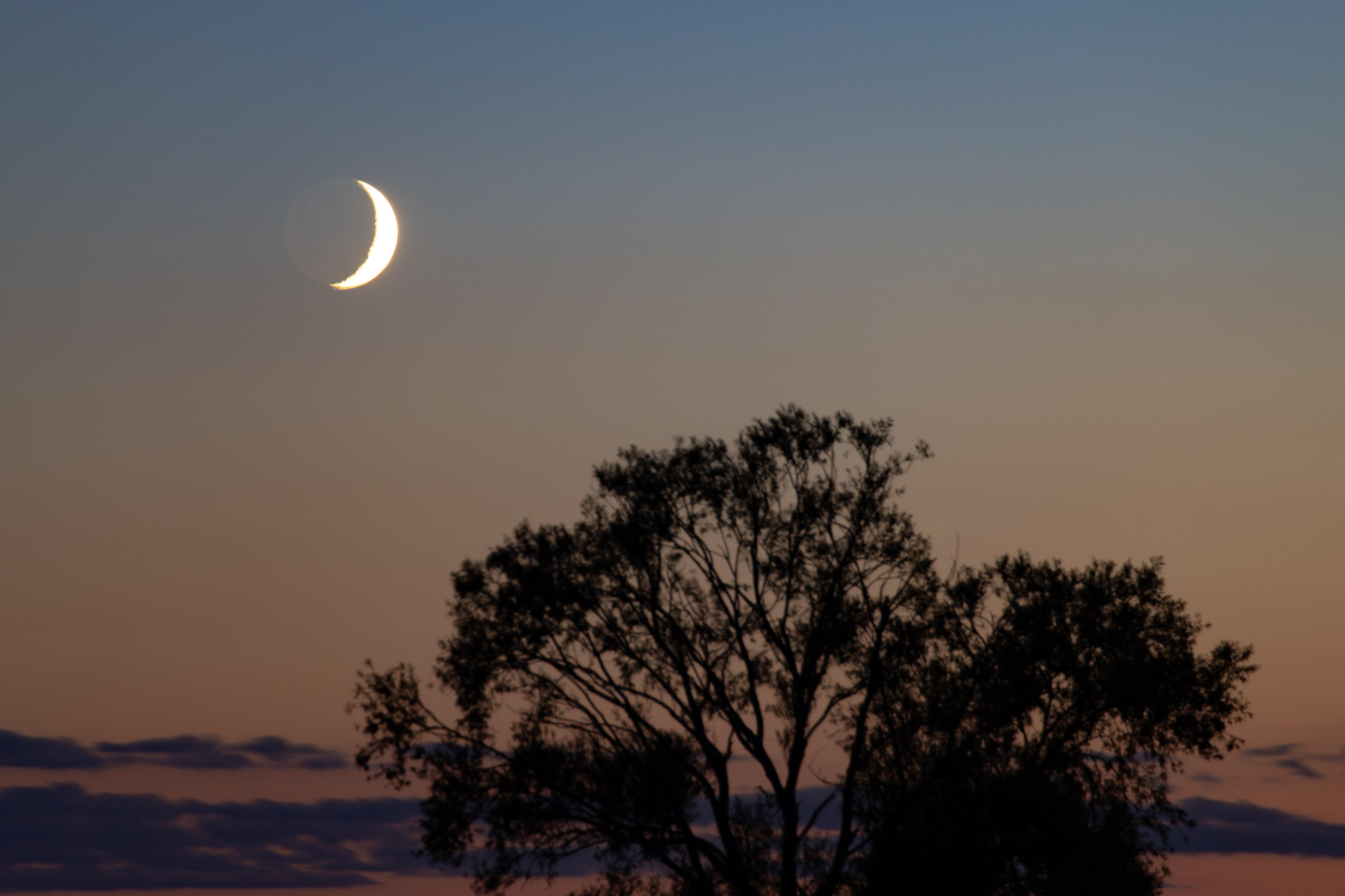 限时观测！19、20日启明星伴月现身天宇