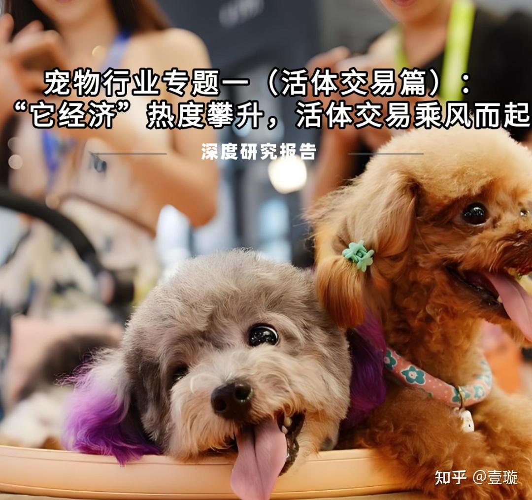 2025天津宠物博览会开幕 年轻人成“它经济”消费主力军