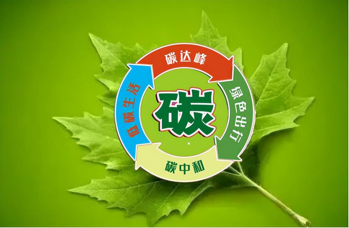 科技筑基+数字赋能！东莞证券深耕金融“五篇大文章”