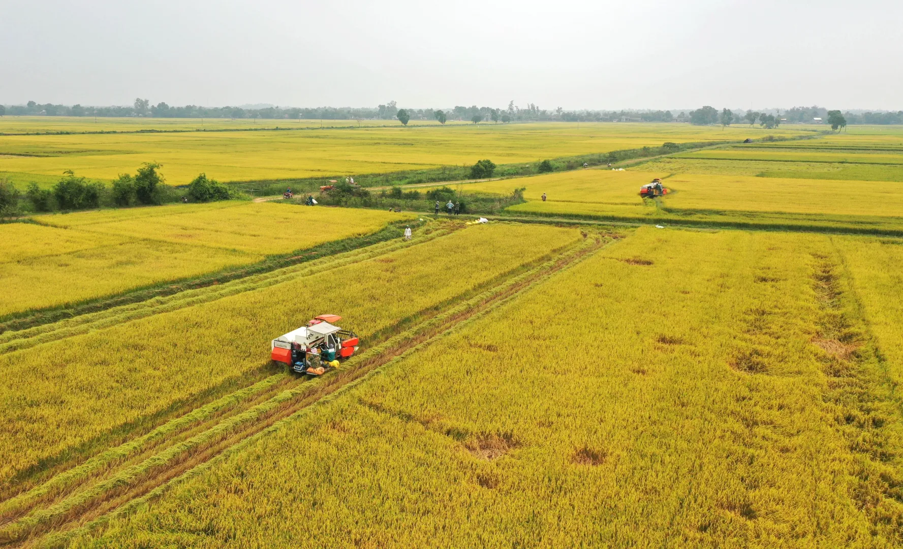 扬杰科技:下半年订单状态良好,当前主要新建产线有越南基地二期项目等