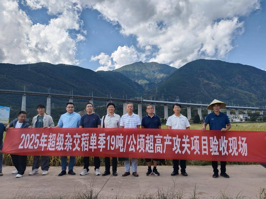 四川粮食产量预计突破730亿斤 创历史新高