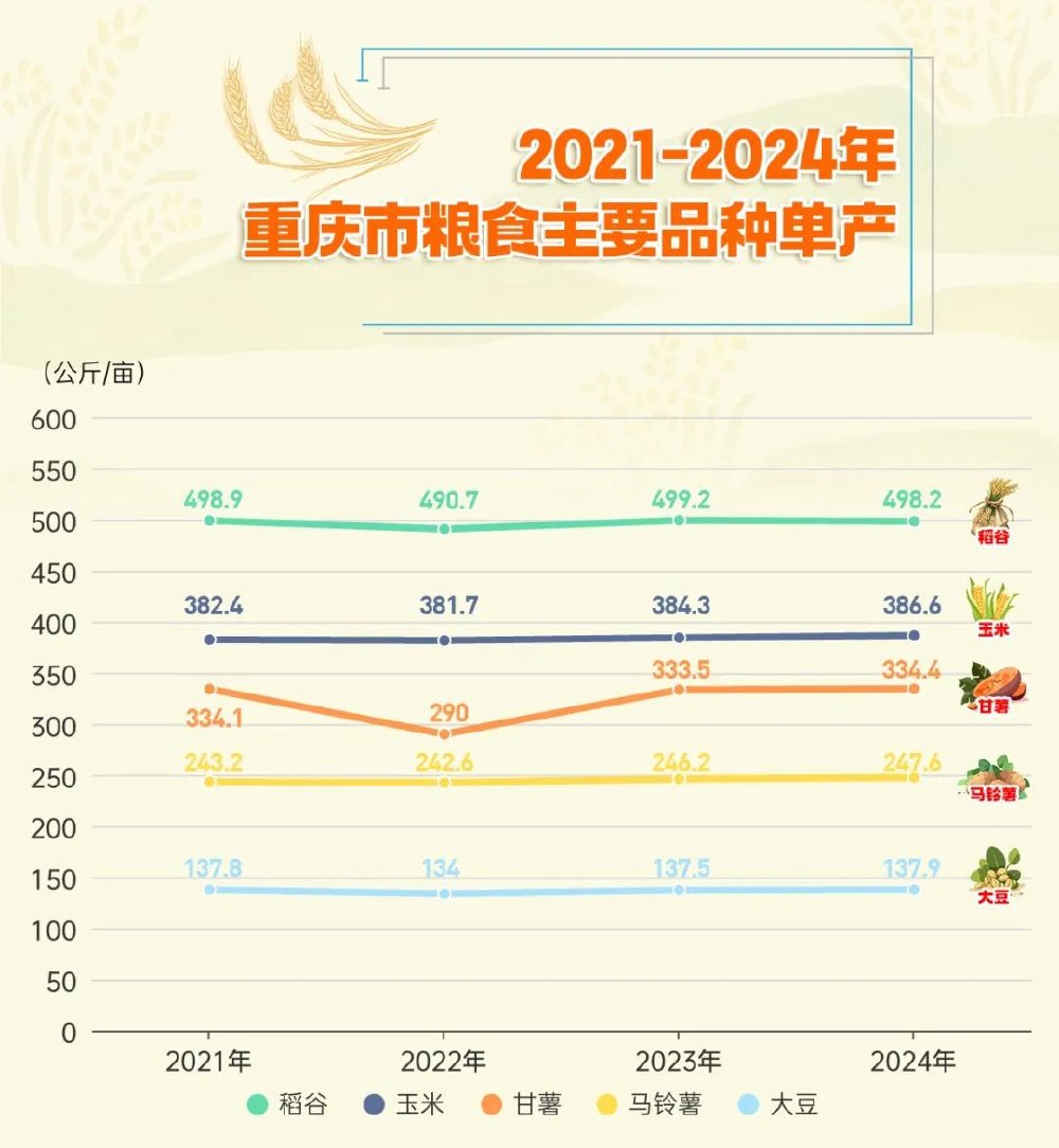 四川粮食产量预计突破730亿斤 创历史新高