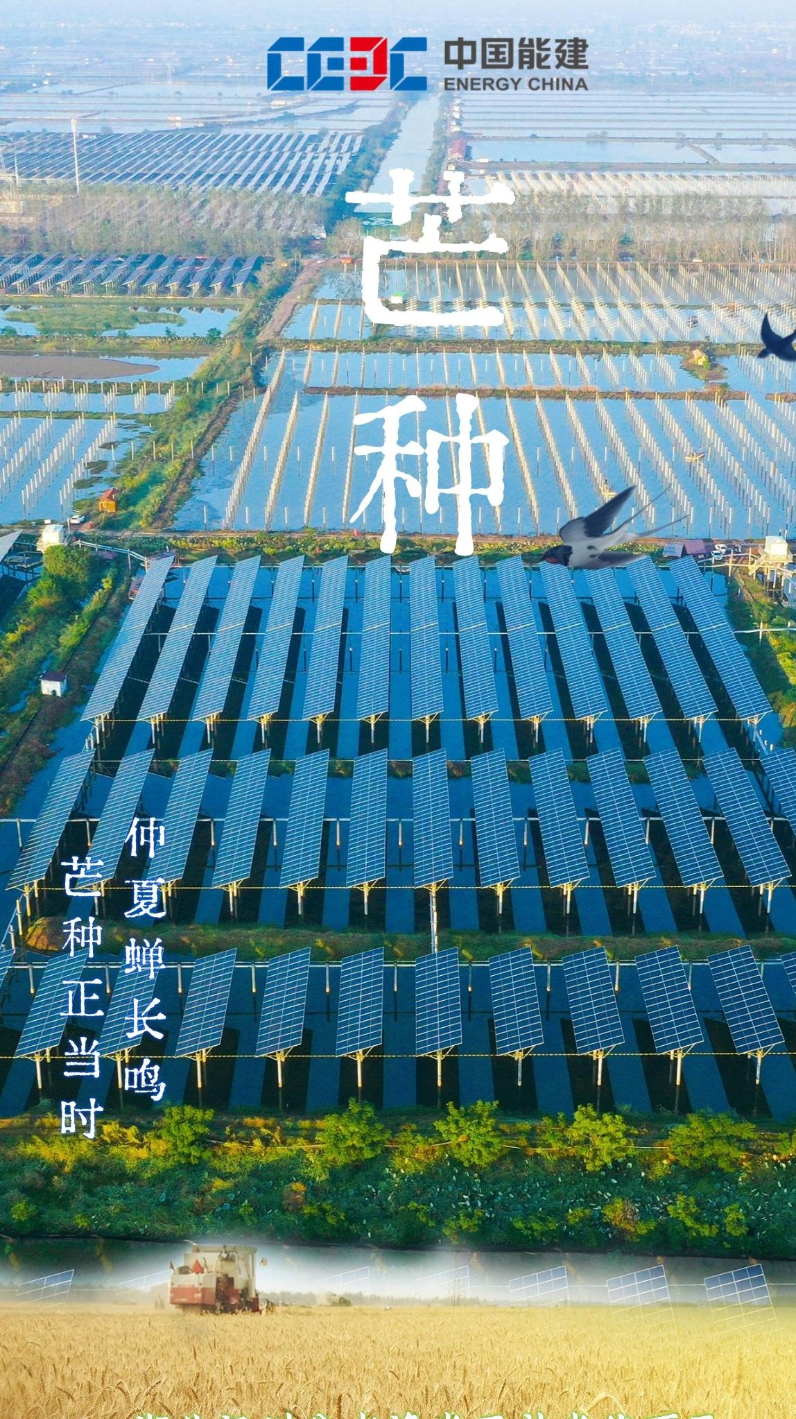 （乡村行・看振兴）山西闻喜：500亩示范田达产 “吨半粮”技术走出试验田