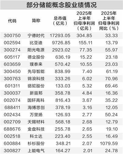 储能需求大增 社保基金持仓11只概念股