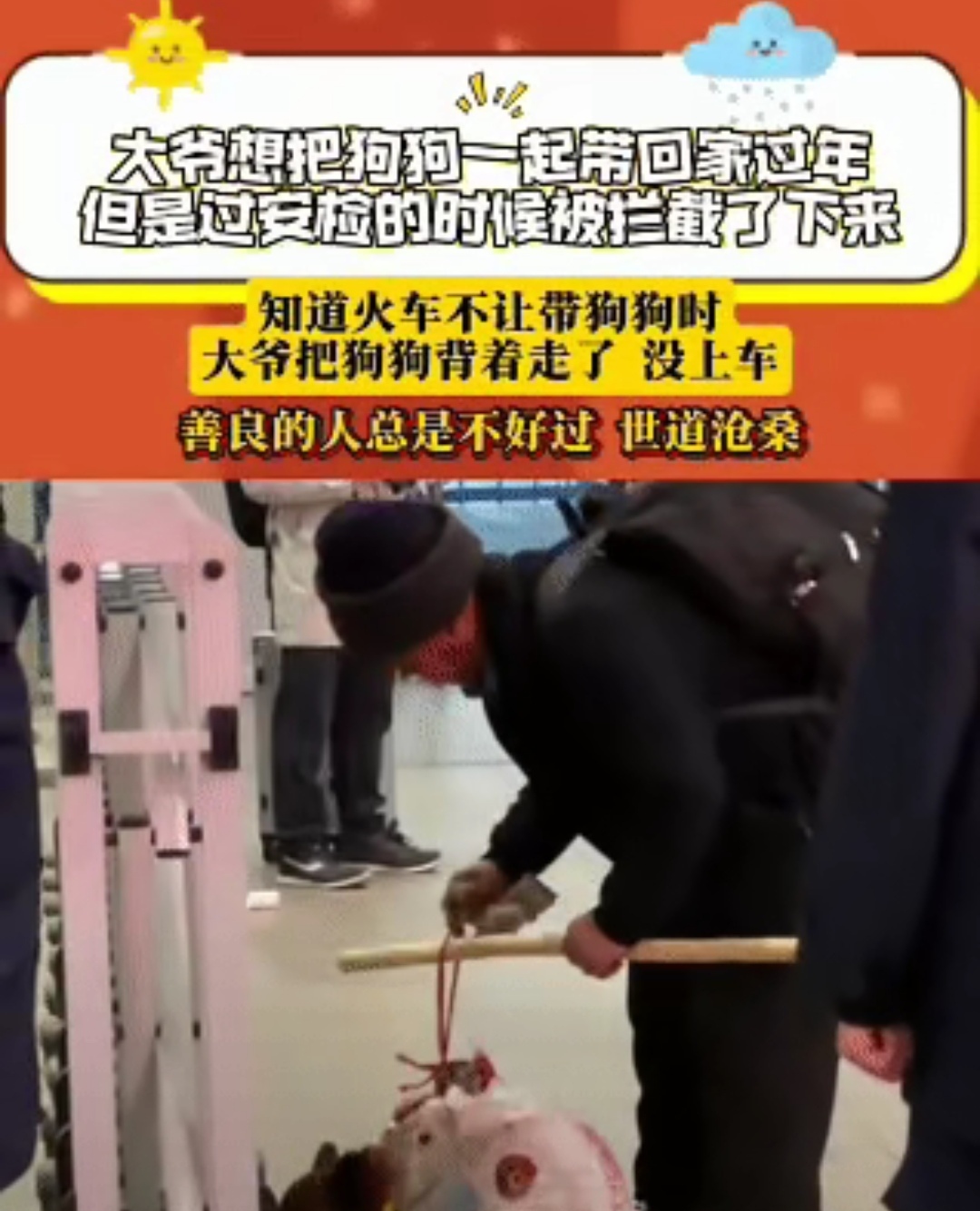 山西太原:狗狗当“店长”吸引客流