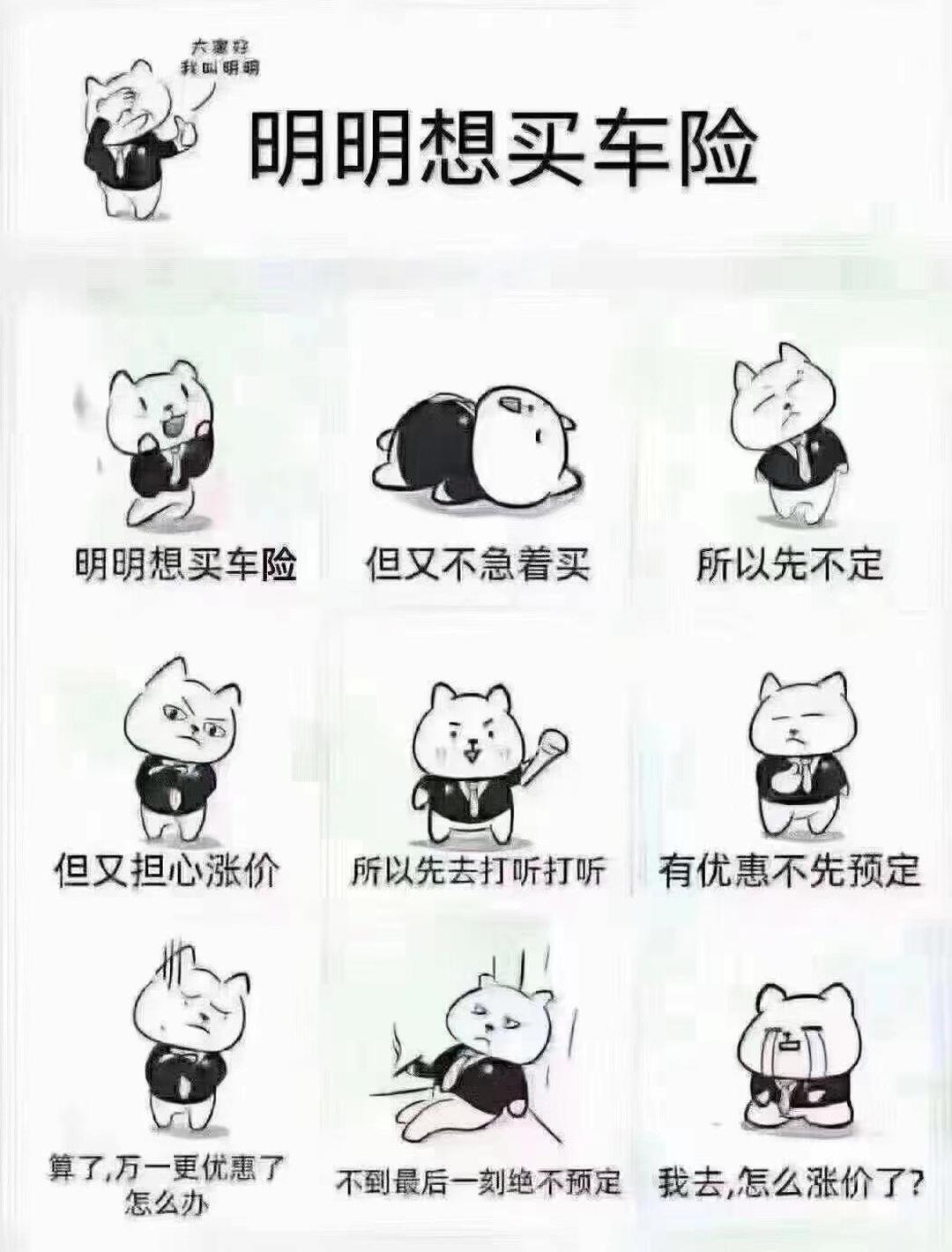 磷化工行业现状与发展趋势分析_人保车险 品牌优势——快速了解燃油汽车车险,人保护你周全