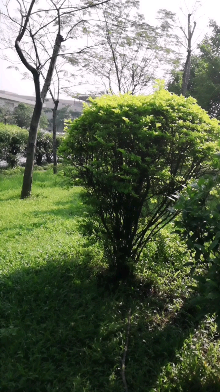 清新环境:拟公开挂牌转让赤峰博元科技有限公司70.6%股权