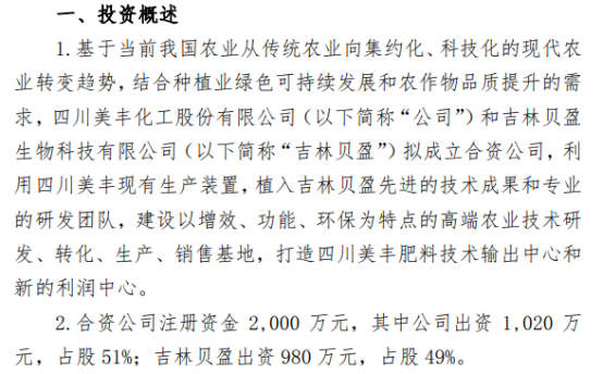 四川美丰：组建了专业团队开展潜在投资项目的调研论证工作