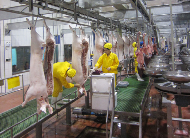 东方生物：在海南自贸区设有海南万子健检验实验室有限公司