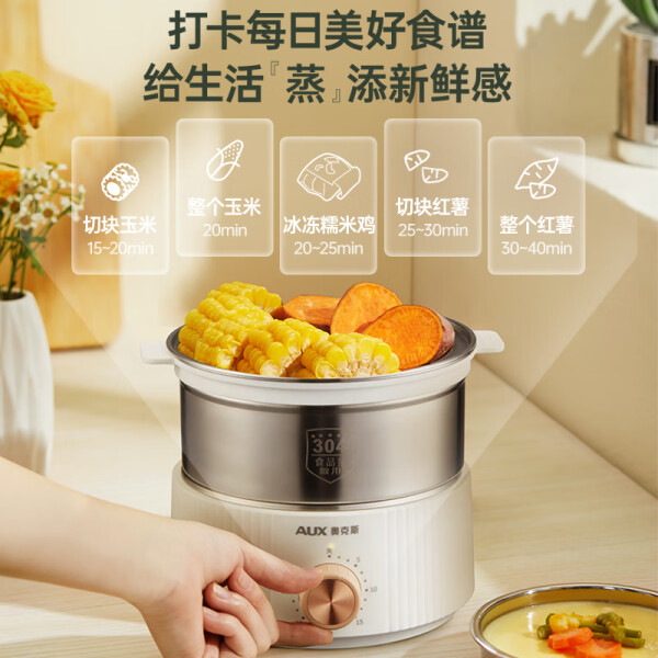 2025中国电蒸锅行业：战略前景与投资展望_人保财险政银保 ,人保有温度