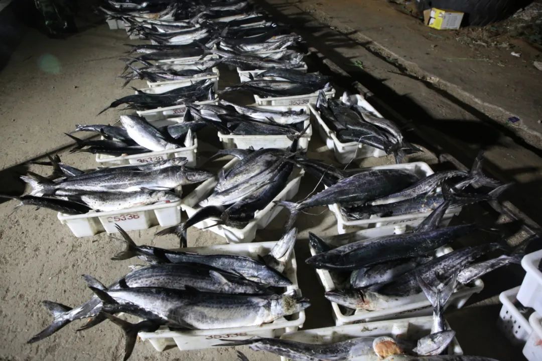 大连海警局侦破首起涉海假证案