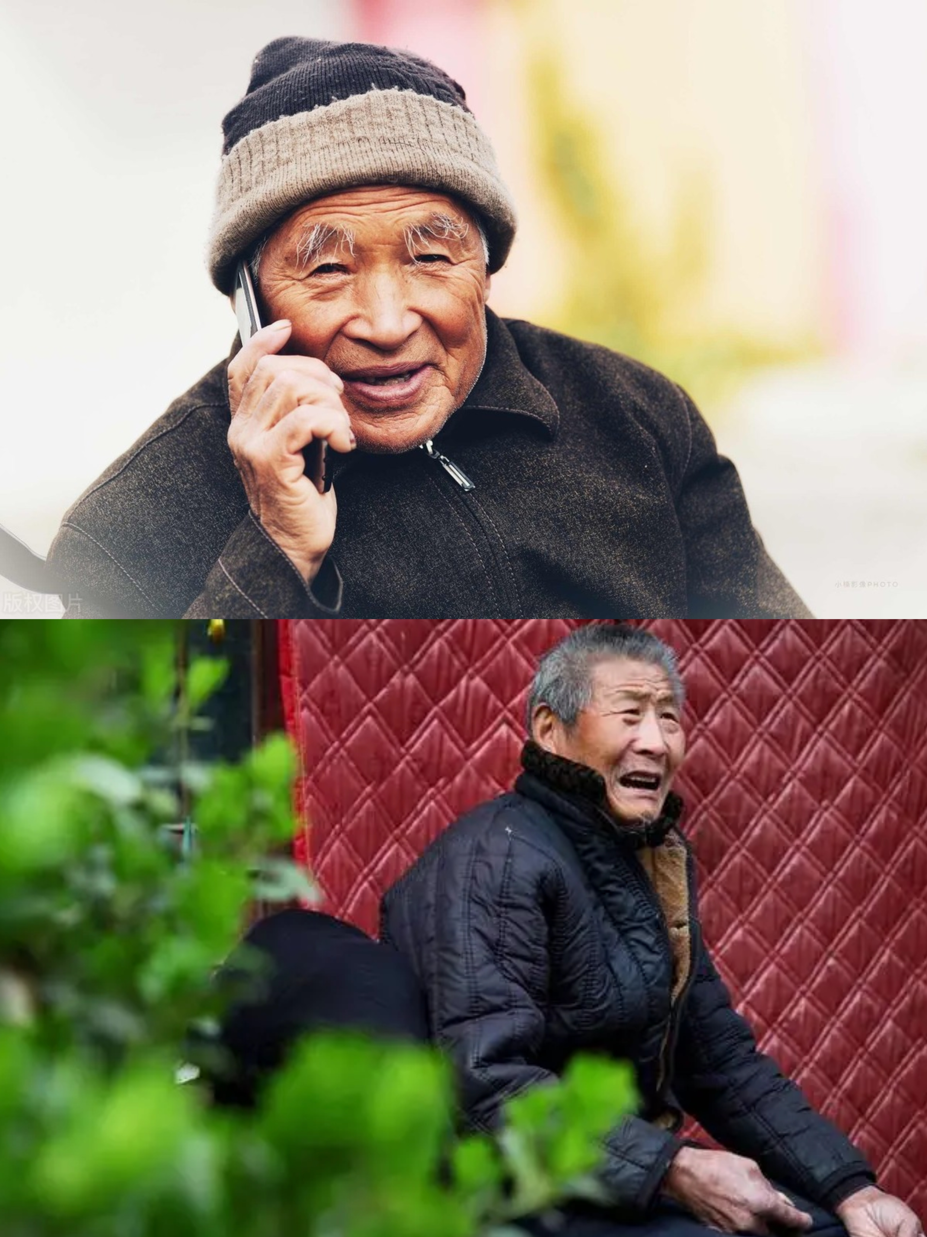 年轻人追捧的“痛金”跑赢金价，但他们不只是在为爱发电