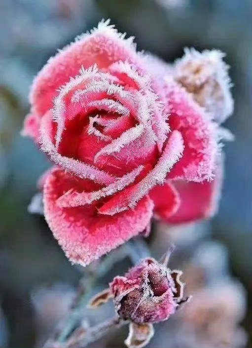 【盘中播报】沪指涨0.27% 石油石化行业涨幅最大