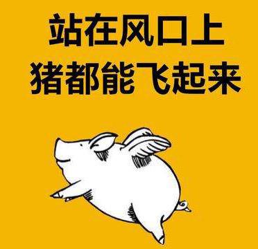 【时代风口】 “它”经济:千亿消费市场新赛道