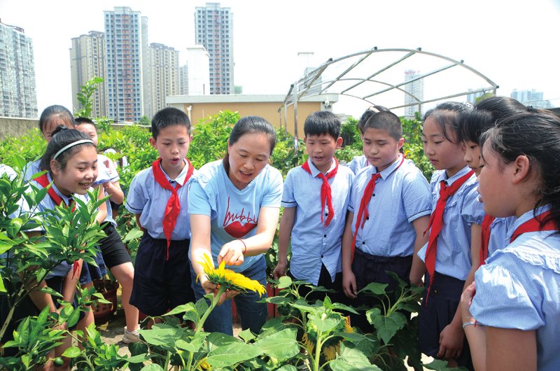 清华-美团配送联合课程沉淀为教材 构建AI教育"第二课堂"