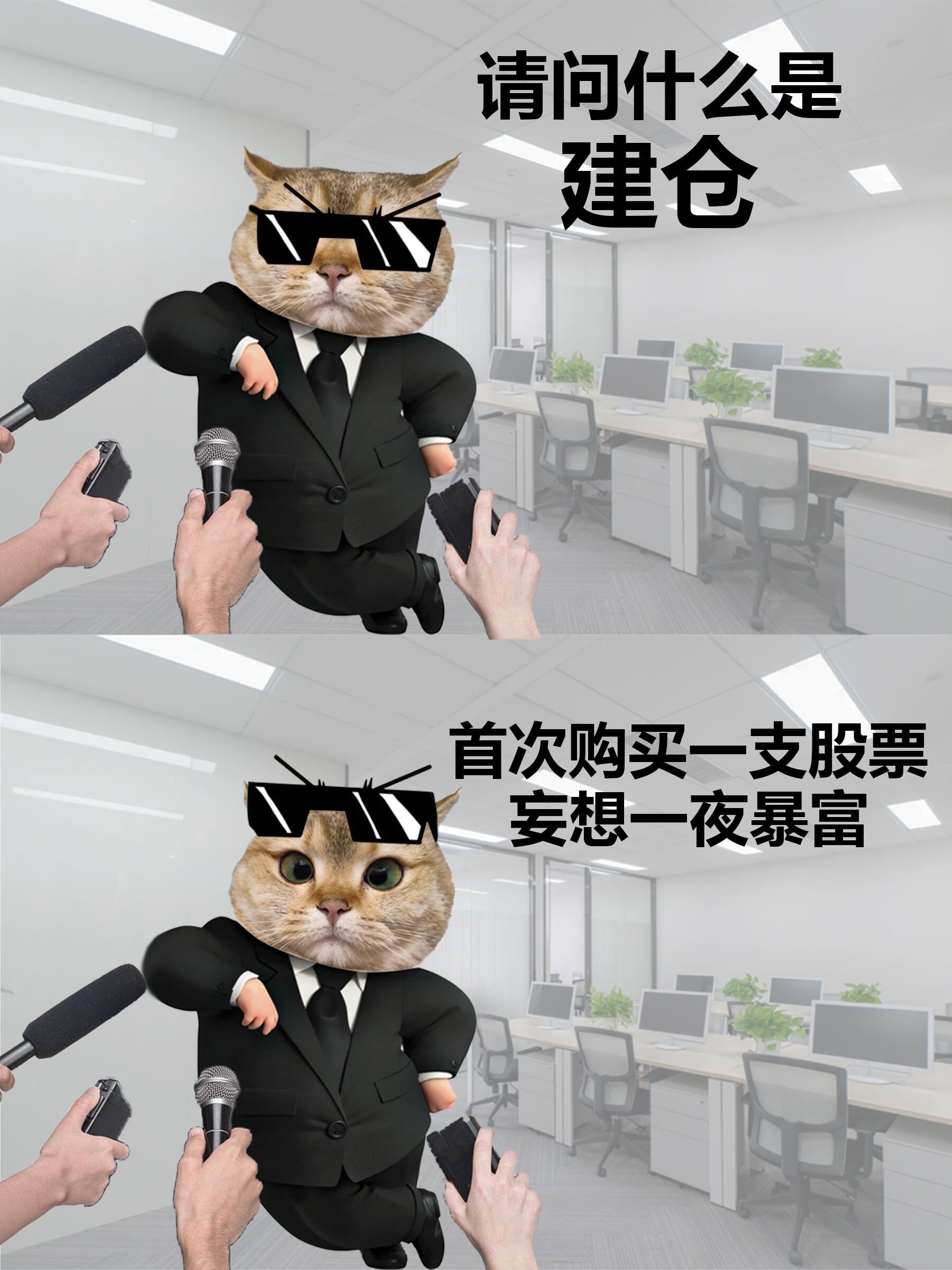 汤姆猫IP失宠：业绩持续亏损，用户规模及收入双双失速，股东遭破产清算