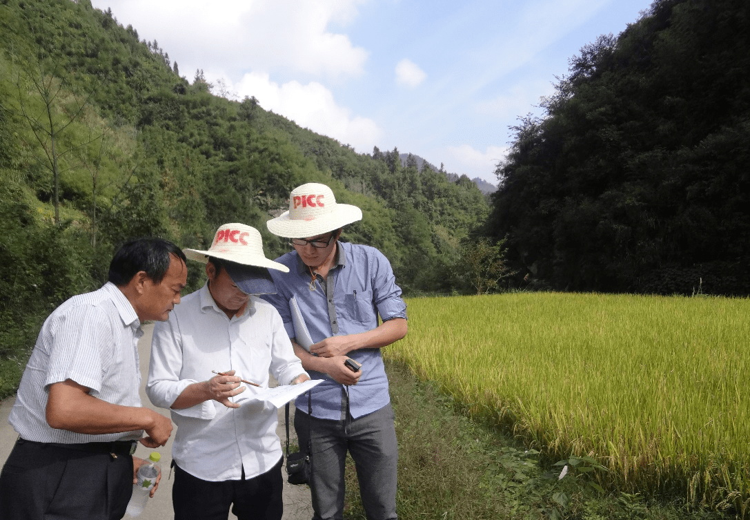储能锂离子电池行业现状洞察与未来趋势分析_人保财险政银保 ,人保护你周全