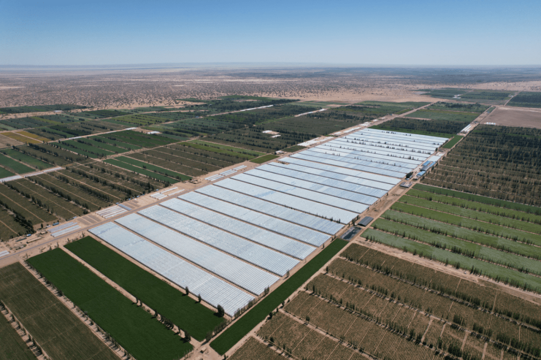 杭州3宗宅地43.32亿元底价成交