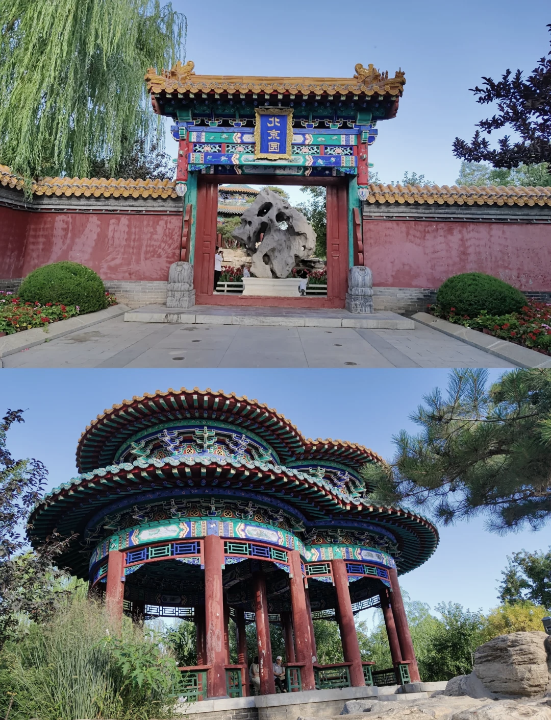 宁夏银川：花卉飘香产业旺