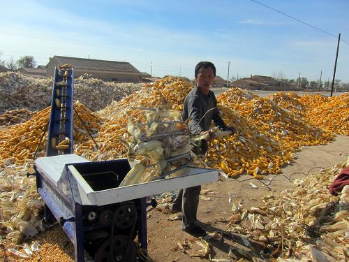 浙江粮食生产有望实现“十连增”