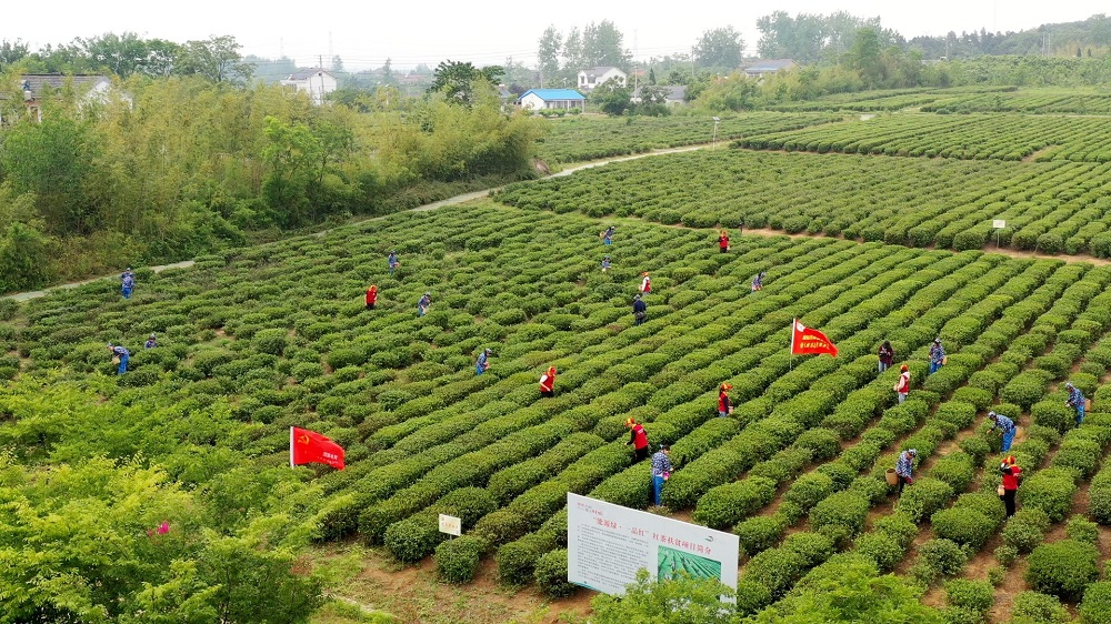 吉电股份：公司是国家电投集团绿色氢基能源产业发展的唯一平台