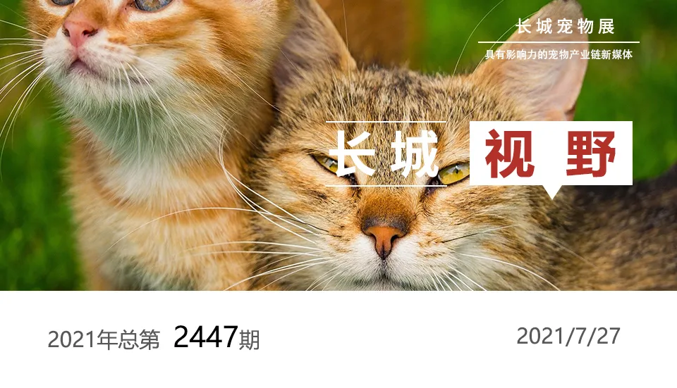 旅游业也争“宠”